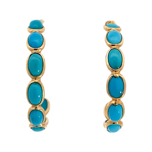 Colored Stone Earring